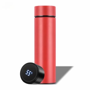Digital Temperature Bottle